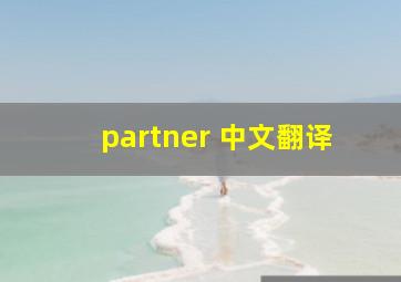 partner 中文翻译